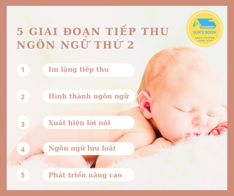 5 giai đoạn tiếp thu ngôn ngữ thứ 2